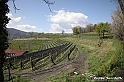 VBS_7417 - PressTour educational dedicato ai vini del Pinerolese e all’olio prodotto sulla collina di Pinerolo